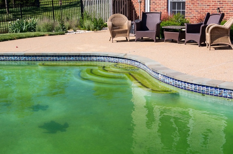 Problèmes de piscine verte : comment nettoyer rapidement une piscine verte ?